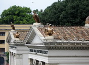 Piazza del Popolo - Rome 005